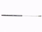 Takaluukun tuen kaasujousi