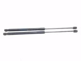 Tailgate/trunk strut/damper