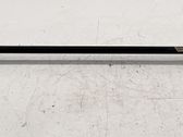 Stabilisator hinten