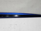 Front door trim (molding)