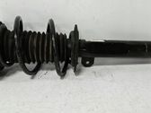 Amortiguador delantero con muelle espiral