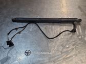 Tailgate/trunk strut/damper