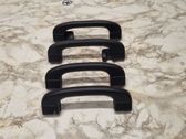 A set of handles for the ceiling