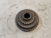 Engranaje de la bomba de combustible (polea)
