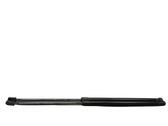 Tailgate/trunk strut/damper
