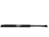 Tailgate/trunk strut/damper