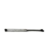 Tailgate/trunk strut/damper