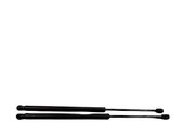 Tailgate/trunk strut/damper