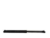Tailgate/trunk strut/damper