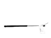 Tailgate/trunk strut/damper