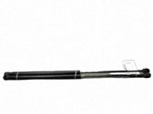 Tailgate/trunk strut/damper