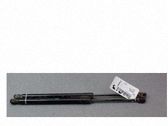 Tailgate/trunk strut/damper