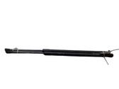 Tailgate/trunk strut/damper