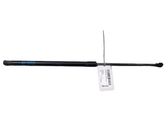 Tailgate/trunk strut/damper