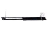 Tailgate/trunk strut/damper