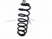 Muelle espiral trasero