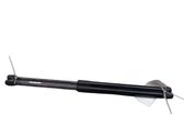 Tailgate/trunk strut/damper