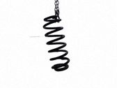 Muelle espiral trasero