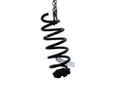 Rear coil spring