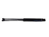 Tailgate/trunk strut/damper