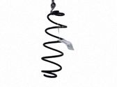 Muelle espiral trasero