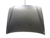Engine bonnet/hood