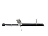 Tailgate/trunk strut/damper