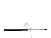 Tailgate/trunk strut/damper