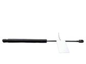 Tailgate/trunk strut/damper