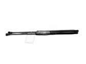 Tailgate/trunk strut/damper