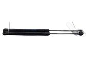 Tailgate/trunk strut/damper
