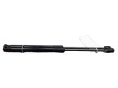Tailgate/trunk strut/damper