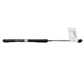 Tailgate/trunk strut/damper