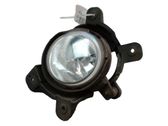 Luz de niebla delantera