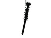 Rear coil spring