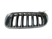 Front bumper upper radiator grill