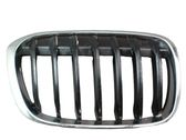 Front bumper upper radiator grill