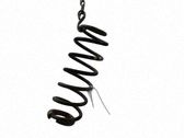 Muelle espiral trasero