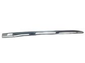 Front door trim (molding)
