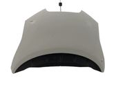 Motorhaube