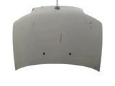 Engine bonnet/hood