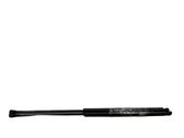 Tailgate/trunk strut/damper