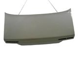 Tailgate/trunk/boot lid