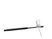 Tailgate/trunk strut/damper