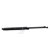 Tailgate/trunk strut/damper