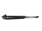 Tailgate/trunk strut/damper