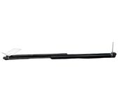 Tailgate/trunk strut/damper