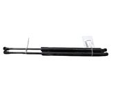 Tailgate/trunk strut/damper