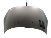 Motorhaube