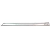 Front door trim (molding)